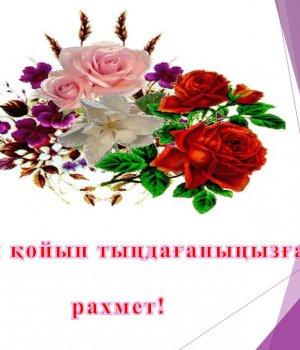 Облыс жарысы