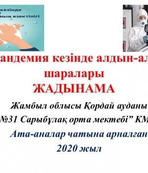Пандемия кезінде алдын-алу шаралары
